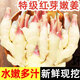 骉祥嫩姜新鮮現(xiàn)挖指頭大仔姜子姜山東紅芽生姜山東非云南黃老醋鮮姜e 2斤1kg