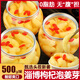 邵傅齋枸杞泡姜芽山東新鮮醋泡仔姜嫩姜芽生姜片腌制泡菜罐裝500克*2罐