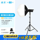 南光（NANLITE）FS-300B雙色溫直播補(bǔ)光燈 室內(nèi)影棚平面人像攝影燈 大功率視頻led常亮燈 專業(yè)高顯色拍攝燈 FS-300B+650柔光球+燈架