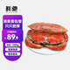 面包蟹母鮮活熟凍大螃蟹海蟹新鮮海鮮水產(chǎn)生鮮黃金蟹珍寶蟹凈重 800-1000g*1只【超大滿黃】
