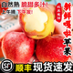 嘎啦蘋(píng)果新鮮水果當季整箱5斤陜西紅富士脆甜冰糖丑青小平果包郵R 5斤【帶箱精選裝】