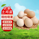 云依禾農莊 散養雞蛋新鮮現撿土雞蛋谷物蟲(chóng)草柴雞蛋笨雞蛋生鮮 【鮮雞蛋】30枚