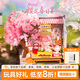 若態(tài)若來(lái)diy手工拼裝小屋nanci娃屋積木拼圖兒童玩具畢業(yè)生日禮物女生