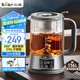 小熊（Bear）養(yǎng)生壺 1.2L大容量煮茶器煮茶壺 316L不銹鋼噴淋蒸茶壺泡茶壺 煮茶燒水一體 ZCQ-D12L6