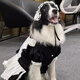 OEMG邊牧專用衣服狗狗女仆裝大型犬裙子參加婚禮阿拉斯加巨貴犬變身裝 狼外婆(不含頭飾) S【建議30-40斤】