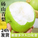 青皮碭山梨正宗碭山翠冠梨翠玉梨青皮蜜梨皇冠梨蘋果梨雪梨新鮮水 10斤裝【精品大果】
