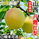 順豐正宗山西運(yùn)城丹霞紅香梨9斤新鮮水果當(dāng)季現(xiàn)摘脆甜酥梨蜜梨子L 凈重3斤【順豐現(xiàn)摘】