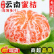 云南蜜橘新鮮偏酸桔子當(dāng)季水果早熟無籽柑橘小青綠皮酸爽薄皮蜜桔 家庭裝凈重8.5斤【單果60mm+】
