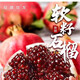 【會(huì )理-石榴】正宗突尼斯軟籽石榴 新鮮現摘時(shí)令可不吐籽花皮石榴 5斤 凈重4.5斤 精選裝單果250g+