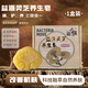 菌動益源靈芝養(yǎng)生皂手工皂潔面香皂潤膚清潔洗澡沐浴全身可用男女通用 手工制皂（一盒裝）