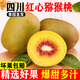 味果生四川蒲江紅心獼猴桃應(yīng)當(dāng)季新鮮孕婦水果現(xiàn)摘奇異果整箱水果禮盒 24枚大果【單果90-110g】