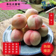 喜詩(shī)涯正宗奉化水蜜桃當季鮮果現摘10-12顆中果5斤裝整箱發(fā)貨順豐包郵 2500克