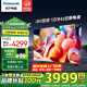 松下（Panasonic）電視機 LX780C系列 4K超清120Hz全面屏 開機無廣告 AI語音 HDMI2.1 杜比視界全景聲 智能彩電 65英寸 TH-65LX780C 官方標配
