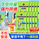 ZiBeak高速管道疏通劑泡泡粉下水道去除小飛蟲專用強(qiáng)力溶解廚房馬桶除臭
