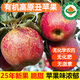 【順豐】有機(jī)丑蘋(píng)果 紅露冰糖心蘋(píng)果云南高原健康無(wú)農(nóng)殘有機(jī)水果 5斤 家庭裝 精品果