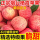 正宗山東煙臺(tái)紅富士蘋果5斤新鮮水果冰糖心棲霞條紋蘋果果園直發(fā)F 帶箱精選嘗鮮4個(gè)裝（75-80mm）