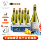 冰川文蒂斯酒莊智利原瓶進(jìn)口霞多麗干白葡萄酒750mlx6瓶 【年度酒莊紀(jì)念款】珍藏級(jí)