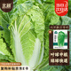 北蔬 北京新三號(hào)白菜種子苗葉多秋季蔬菜種籽 北京新三號(hào)種子10g×3包