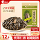 洽洽原香258g*1袋原味瓜子熟制葵花籽周末洽洽大包休閑零食小吃