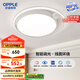 歐普照明(OPPLE) 吸頂燈客廳臥室燈智控調(diào)光LED照明燈具心嶼 包安裝