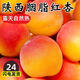 文枝陜西胭脂紅杏4斤杏子大果當季新鮮水果現發(fā)酸甜蜜杏貴妃太陽(yáng)整箱 2斤 【嘗鮮裝】小果試吃，不過(guò)癮