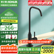 科勒（KOHLER）凈水器龍頭直飲水龍頭純2分可接科勒原裝45406凈水器內(nèi)置龍頭 45406T-BL（黑色款）