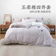 遠(yuǎn)夢(mèng)（YOURMOON）四件套純棉 全棉100%輕磨毛床單四件套玉柔棉輕奢刺繡床上用品 迦南紫灰 床單款 （被套200*230cm）