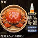 【活蟹】蟹爵大閘蟹鮮活螃蟹 現(xiàn)貨生鮮河蟹實物水產(chǎn)海鮮禮盒 全母2.5-2.8兩8只