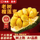 億喜農(nóng)海南菠蘿蜜一整個(gè)當(dāng)季孕婦新鮮熱帶水果干苞黃肉波羅蜜整箱超香甜 【稀缺品種】榴蓮蜜3-4斤—爆甜