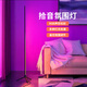 瑜尚臻品拾音氛圍燈客廳落地燈裝飾臥室輕奢直播背景電競音樂(lè )律動(dòng)創(chuàng  )意禮物 落地幻彩氛圍燈【USB插頭-RGB款】 約1.3m【遙控+藍牙】款