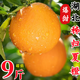 黃六爺正宗秭歸夏橙新鮮橙子10斤應(yīng)當(dāng)季水果現(xiàn)摘冰糖甜橙果凍橙大果包郵 3斤 50-60mm 小果【超甜多汁】