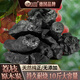 島奇（Daoqi）荔枝炭果木炭無煙室內(nèi)戶外果香耐燒圍爐煮茶燒烤正宗原木炭 【10斤】荔枝炭 贈(zèng)酒精塊和手套