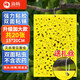 滴暢粘蟲(chóng)板黃板誘蟲(chóng)板20張滅蒼蠅貼滅蚊蟲(chóng)小飛蟲(chóng)誘捕神器15cm*20cm