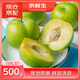 京鮮生 重慶巫山脆李 凈重500g 生鮮水果