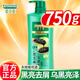 夏士蓮(Hazeline)去屑洗發(fā)水黑亮滋養護發(fā)新老包裝隨機發(fā)貨 黑亮滋養去屑 750g