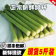 順豐崇明甜桿新鮮甜蘆粟小甘蔗蘆稷甜高粱桿現(xiàn)砍中斷孕婦水果整箱 5斤整箱