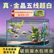 坤寧王金晶超白玻璃魚缸40造景裸缸客廳桌面溪流缸一體缸水族箱40*23*25