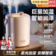 貝初眾加濕器小型雙噴家用母嬰空氣凈化器大容量便攜宿舍辦公男生桌面車(chē)載情人節生日禮物送女友老婆 米白色-充電款【三檔雙噴霧+小夜燈】 輕音低噪/可加香薰