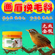 能效畫眉專用飼料換毛提性亮羽營養(yǎng)糧助促快速長毛壯膘換羽靚羽上力氣 一瓶裝【一吃換毛】
