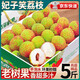現摘發(fā)貨【JD空運】2025年妃子笑荔枝新鮮荔枝整箱 單果15-18克 3斤（凈重2.5斤）