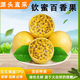 騎猴趕馬欽蜜9號(hào)黃金百香酸甜可口百香果云南生鮮現(xiàn)摘現(xiàn)發(fā)水果黃金百香果 凈重2斤【單果45-60g】 【果蔬金榜力推TPO】
