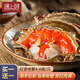 紅膏嗆蟹整只咸蟹熗蟹即食韓國(guó)醬母蟹寧波舟山梭子蟹糊螃腌生腌蟹 熱賣推薦【4-6兩】到手2只