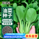 花沃里 油菜種子四季蔬菜種子青梗葉菜家庭陽臺(tái)盆栽庭院種植田間約600粒