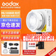 神牛（Godox）ML100Bi攝影燈雙色溫可調(diào)便攜夜拍燈人像補光燈戶外控制室電影視頻攝像燈  ML100Bi【官方標(biāo)配】