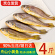 滋百尚小黃花魚 舟山野生 海捕新鮮冷凍小黃魚 生鮮魚類燒烤食材 【中小號】約18-20條/斤凈重4斤