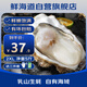 鮮海道 鮮活乳山生蠔2XL 凈重5斤 17-21只 生鮮海鮮貝類 源頭直發(fā)
