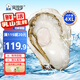 貝司令【源頭直發(fā)】鮮活乳山生蠔牡蠣貝類燒烤4XL號(hào)凈重10斤 海鮮水產(chǎn)