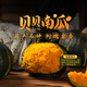 東方甄選貝貝南瓜板栗味粉面軟糯當(dāng)季蔬菜早餐空氣炸鍋食材 4.8斤 （約4-8個(gè)/箱）
