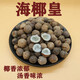 海椰皇圓粒小椰子新鮮椰子味濃郁廣東煲湯材料悠閑零食迷你 幫去殼 10個(gè)