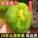 陜西周至翠香獼猴桃新鮮水果當季整箱綠心奇異果孕婦中秋禮盒送禮 5斤【精選大果】